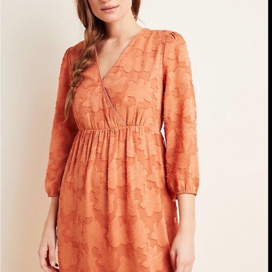 Daniel Rainn Rust Orange Textured Short Dress